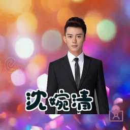沈婉清